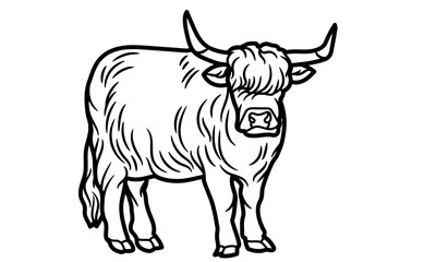 Fototapeta premium Highland Cow IllustrationLong Hair Cow Line ArtRustic Cattle SketchFarm Highland Cow Drawing