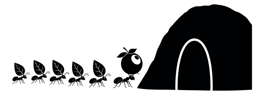 Graphic illustration of a line of ants depicting insects carrying leaves and a berry to an anthill for nature and teamwork concepts