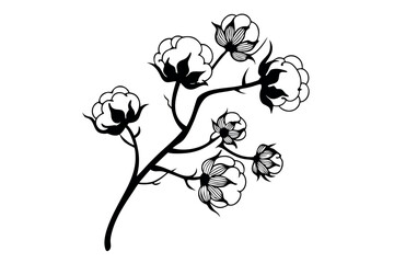 Fototapeta premium Silhouette of a cotton plant branch with blooming flowers