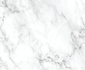 Obraz premium high resolution white Carrara marble stone texture elegant white marble texture background,vector illustration 