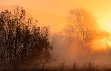 Fototapeta premium Dawn with fog
