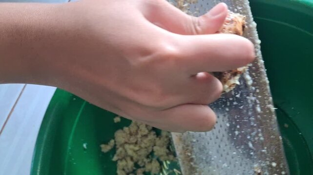 Close up of a woman's hands grating fresh galangal root (Lengkuas) using a metal grater for traditional cooking ingredients or herbal medicine preparation.