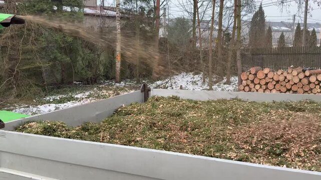 Wood chipper in operation shredding branches after tree removal