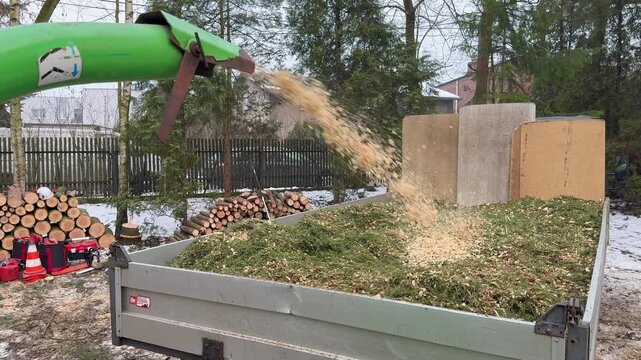 Wood chipper in operation shredding branches after tree removal