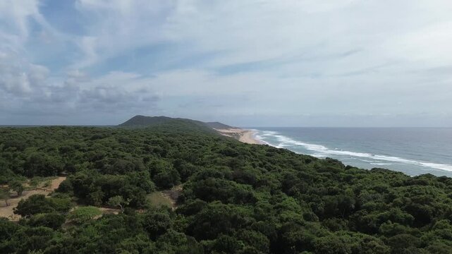 The camera rises above thick green foliage to reveal a pristine beach with rolling waves stretching out to the horizon.  Coast of KwaZulu-Natal, South Africa. 4K Aerial Video.