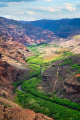 Waimea Canyon landscape with winding river and layered red cliffs under daylight sky on Kauai island, Hawaii