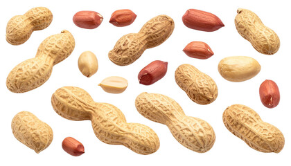 Close up Big Peanut Collection with Copy Space, Isolated on Transparent Background