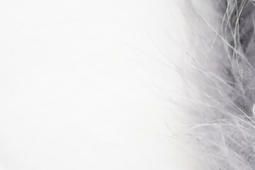 Fototapeta premium fur background