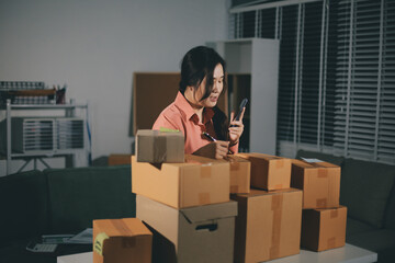 Startup, small business, SME owner check online orders. data logging Business growth, selling products, working with boxes. freelance work at home office online sme business small organization