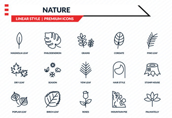 nature icons set - magnolia leaf, philodendron, dry leaf, roses, palmatelly outline vector collection. © IconArt
