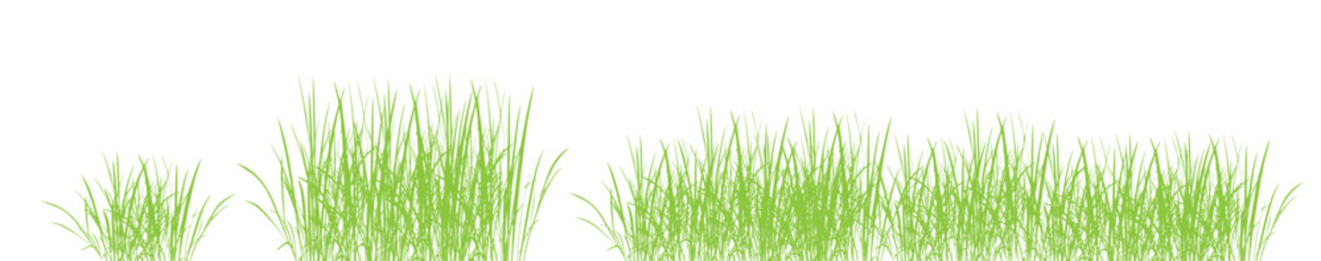 Black grass silhouettes border, meadow grass panorama isolated on white background