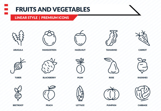 fruits and vegetables icons set - arugula, mangosteen, tuber, lettuce, cabbage outline vector collection.