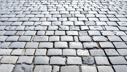 Close-up of wet cobblestone pavement with staggered rectangular stones