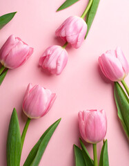 Naklejka premium Różowe tulipany kartka tło