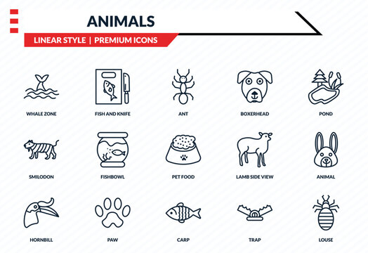 animals icons set - whale zone, fish and knife, smilodon, carp, louse outline vector collection.