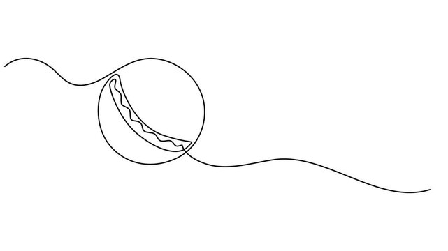 Animated self drawing of continuous line draw cricket ball leather hard circle stitch close-up. Sports equipment, Cricket ball icon sign continuous one line drawing single art international sport pro.