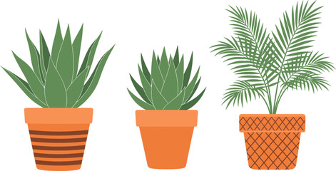 Fototapeta premium Set of three indoor houseplant vectors including succulents and a small palm in decorative orange ceramic pots