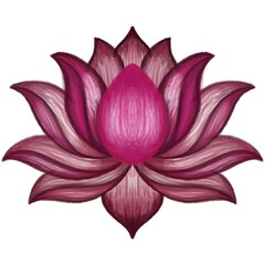 Hand‑Drawn Pink Lotus Blossom Art