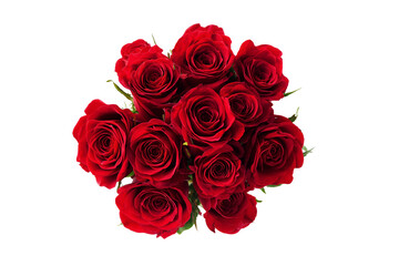 Obraz premium Vibrant red roses isolated on transparent background