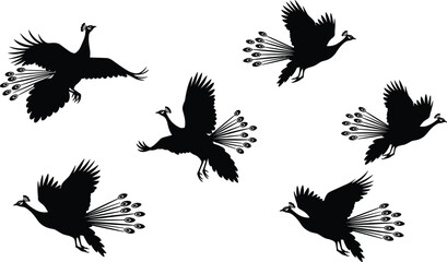 Obraz premium Silhouette Illustration of Flying Peacocks with Spread Wings and Elegant Tail Feathers for Artistic Nature-Themed Design
