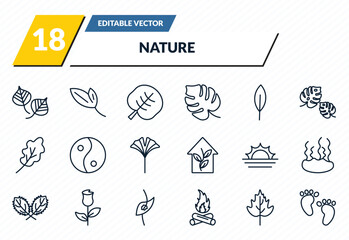 nature icons set - poplar leaf, lanceolate, reniform, hawthorn leaf, four toe footprint outline vector collection. © IconArt