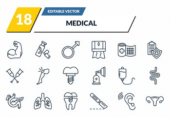 medical icons set - arm, gum, male, ear, uterus outline vector collection.