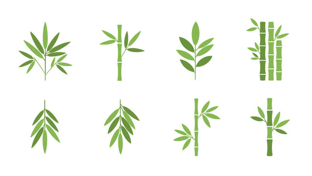 Set of green bamboo stems and leaves in flat design
