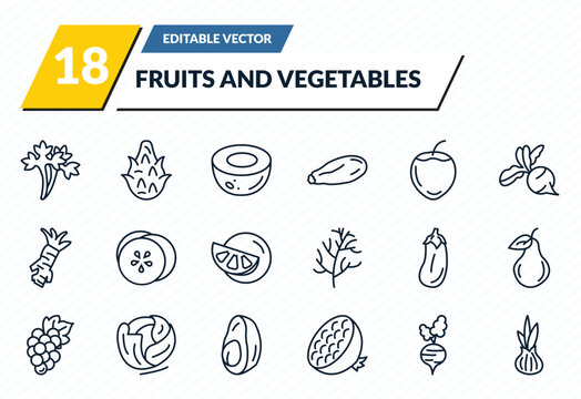 fruits and vegetables icons set - parsley, dragon fruit, coconut, beetroot, onion outline vector collection.