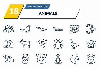 animals icons set - moth, sea lion, mongoose, wild horse, orangutan outline vector collection. © IconArt