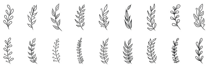 Collection of hand drawn autumn leaves and branches. Elegant botanical vector illustration set. Seasonal design elements. Vector illustration.