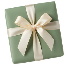 Gift Wrapped Box with Ribbon and Bow