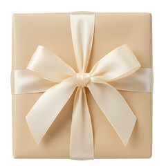 Gift Wrapped Box with Ribbon and Bow