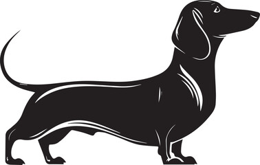 Dachshund Dog Silhouette Black Vector Illustration