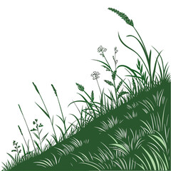 Obraz premium Green grassy hill with wildflowers and blades meadow