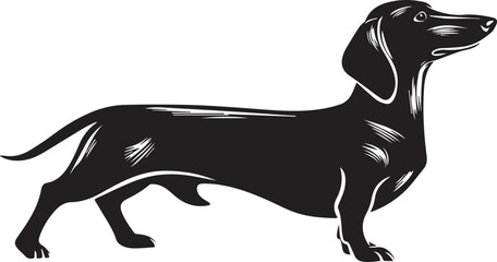 Dachshund Dog Silhouette Black Vector Illustration
