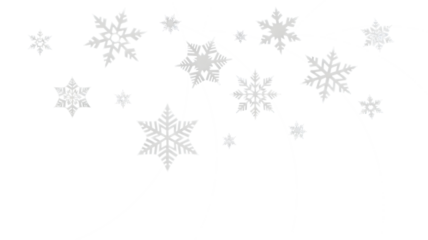 Snowflake set isolated on transparent background, winter frost crystal icons collection for holiday design