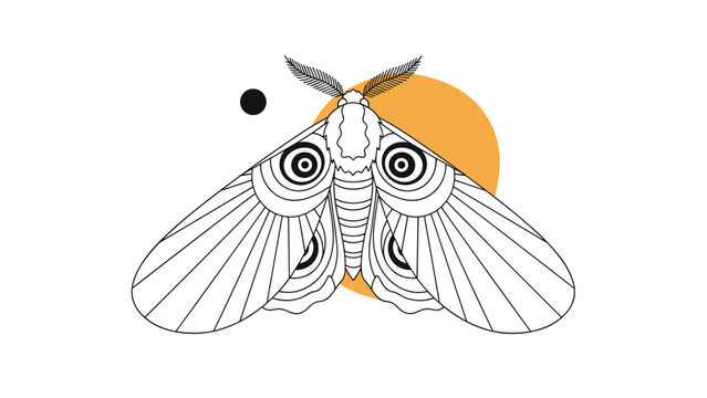 detailed line art of a moth with large circular eye spots on its wings set against an orange sun background.