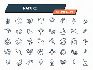 nature icons set - nut leaf, asian, woods, magnolia leaf, seeding outline vector collection. © IconArt