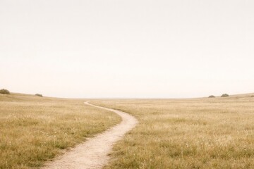 Obraz premium Minimal Meadow Path – Journey and Opportunity Background