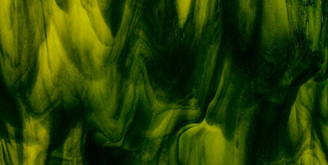 A Mesmerizing Dive into the World of Liquid Art
