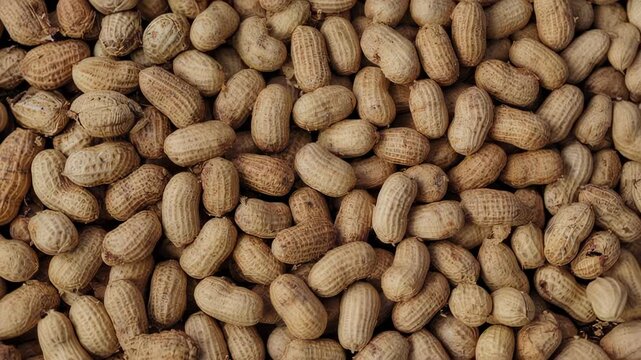 A close-up, overhead view of a large pile of shelled, beige-colored nuts