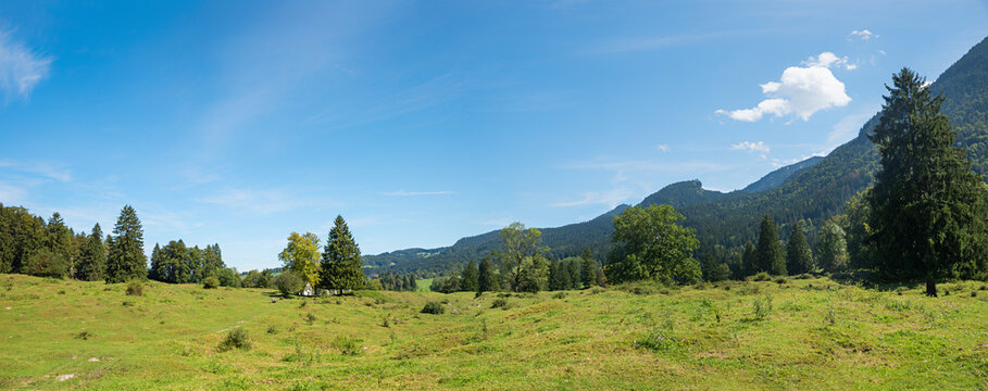 hummocky meadow, called Buckelwiesen, landscape near Ohlstadt, bavaria