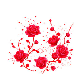 A vibrant illustration of red roses and buds on a black background with splatters on transparent background