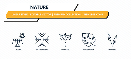 nature icons set - solar, big snowflake, cuspicate, philodendron, subulate outline vector collection. © IconArt