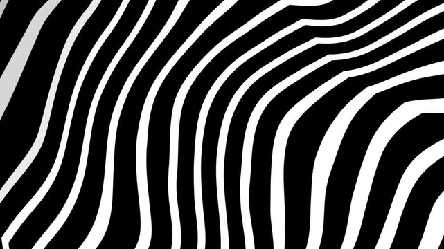 Zebra animation shows a play button hovering above a psychedelic black and white zebra patterned surface.