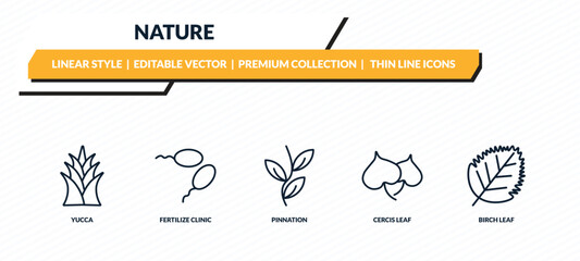 nature icons set - yucca, fertilize clinic, pinnation, cercis leaf, birch leaf outline vector collection. © IconArt