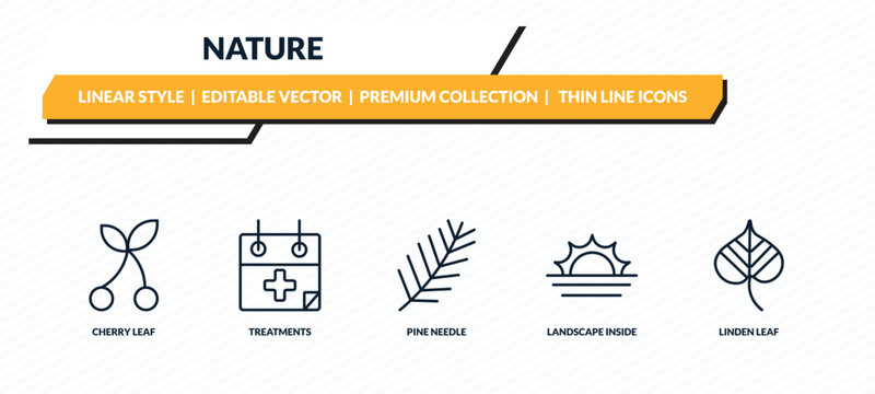 nature icons set - cherry leaf, treatments, pine needle, landscape inside frame, linden leaf outline vector collection.