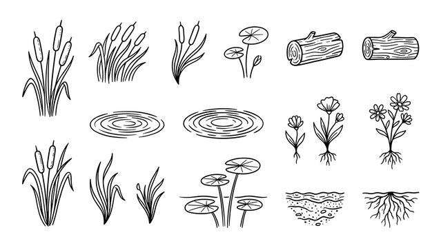 Collection of hand drawn aquatic plants and natural elements are presented in a clean illustrative style with distinct outlines and no background.