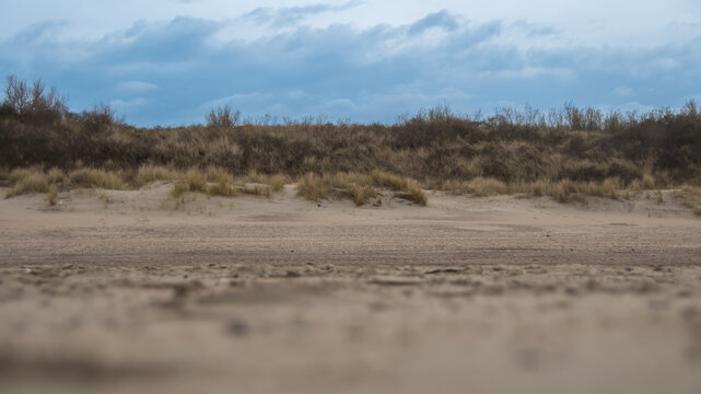 Sand dune with dune grass under a blue sky