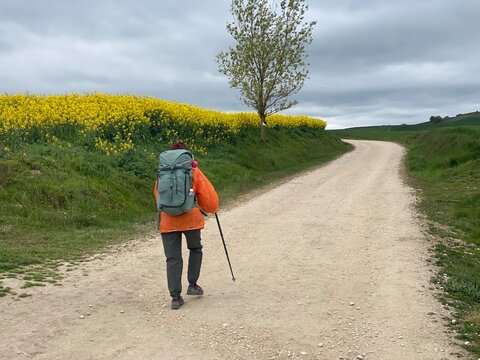 Cammino di Santiago - Mesetas